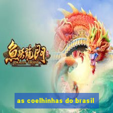 as coelhinhas do brasil